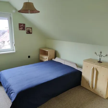 Labdarózsa Apartmanház *